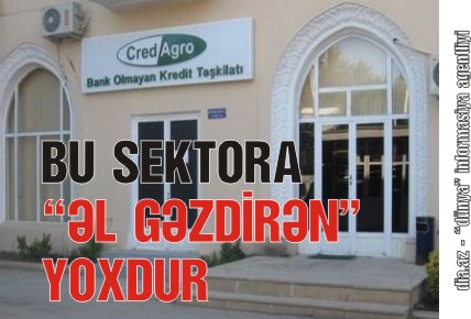 AZƏRBAYCANDA “KREDAQRO” TALANI NİYƏ DURMUR?