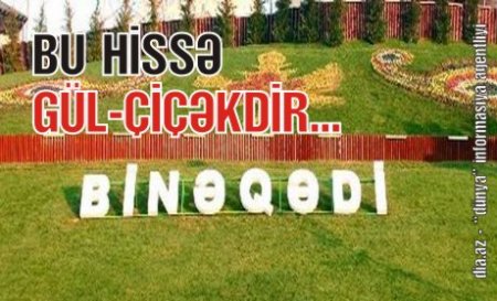 KANALİZASİYA SULARINDA BOĞULAN İNSANLAR