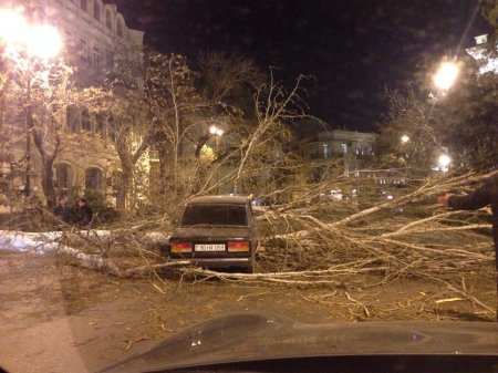 "Qarşıdan küləkli və şaxtalı qış gəlir"...