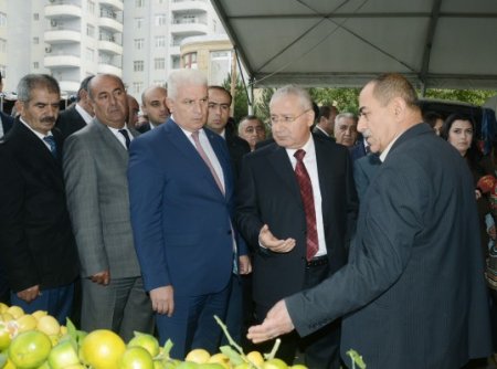 Yarmarkalarla baş qatan Heydər Əsədov kəndliləri düşünmür...