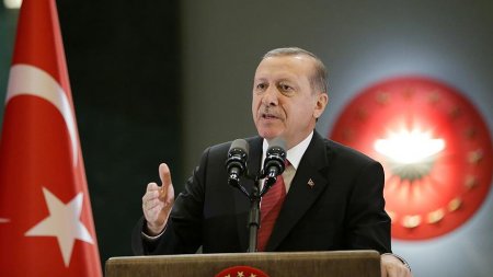 Ərdoğan fövqəladə vəziyyətin elan edilməsinin Türkiyənin daxili işi olduğunu dedi