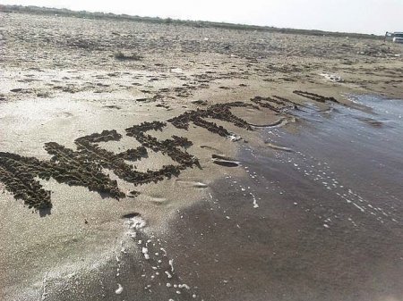 Neftçalada "Yezid" peyda olub...