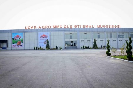 "Ucar Aqro" MMC-nin toyuqlarında axundun "halal möhürü"