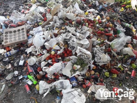 Şabranın icra başçısı bu xarabalıqdan nə qədər pul qazanır?