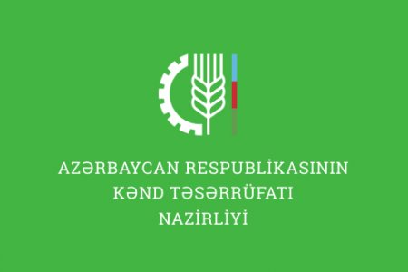 "Kənd Təsərrüfatı Nazirliyinin yüksək vəzifəli əməkdaşı məni intihar həddinə çatdırıb"