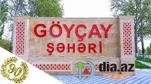 Göyçayda şəhid ailəsi çıxılmaz durumda...