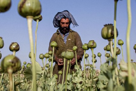 “Taliblər” öz “damarlarını” doğrayacaqlar? 