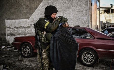 Zelenski Ukraynanın azad olunan yaşayış məntəqələrinin sayını açıqlayıb