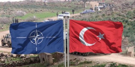 Türkiyə və NATO: aşkar tələb, gizli hədəf