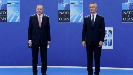 NATO üçün “cek pot” 