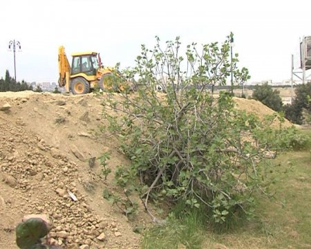 Nuşirəvan Səfərovun daha bir özbaşınalığı: 