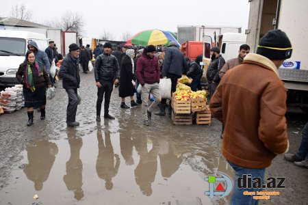 Bu yolla Qəbələyə turist cəlb etmək yox, turist qaçırmaq olar...