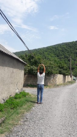 Zaqatalada sahibkar nədən narazılıq edir?