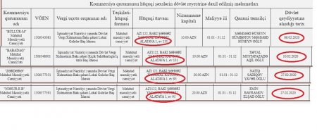 Alatavada "cücərdilən" şirkətlər, silinən milyonlar 