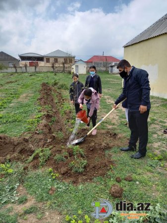 Şəmkir şagirdləri təhsildən yayındırılır 