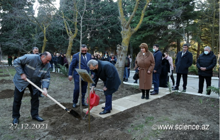 Ramiz Mehdiyevin AMEA XANƏDANLIĞI...