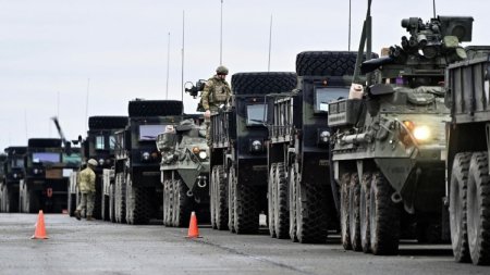 Ukrayna ərazisində NATO bazaları: bu, fantaziya deyil, zərurətdir