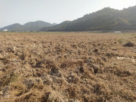 Muxtar Babayevin Haftoni ilə bağlı MÜDHİŞ PLANI...