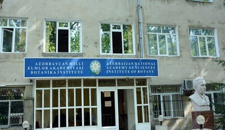 Botanika İnstitutunun alimlərinin həmmüəllifi olduğu məqalə nüfuzlu beynəlxalq jurnalda dərc olunub