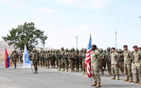 NATO nəhənginin 21-ci əsrin fərarisi ilə təlimi: 