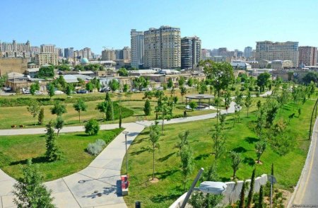 Bakıda yeni park salınır, layihə işləri