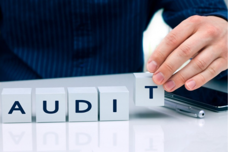 “Azərbaycan Yaşıllaşdırma və Landşaft Quruluşu”nun auditini