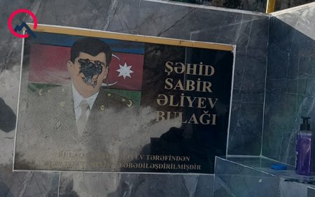 "Bu şəxsin yaşadığı ərazidəki sakinlər öz istədikləri kimi ona cəza verə bilərlər"