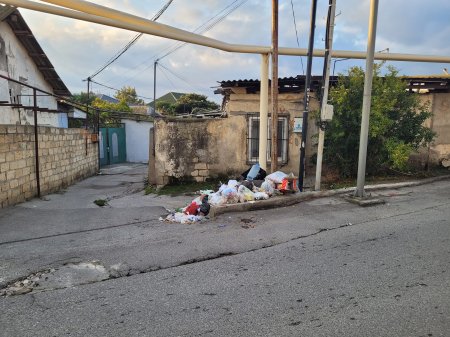 "Məhəlləmiz əməlli-başlı zibilxanaya çevrilib..."