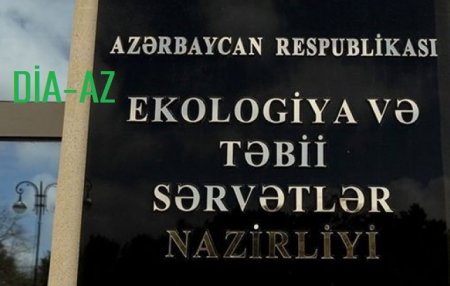 Haftonidəki YAŞIL TERROR: Niyə səsini çıxaran yoxdur?