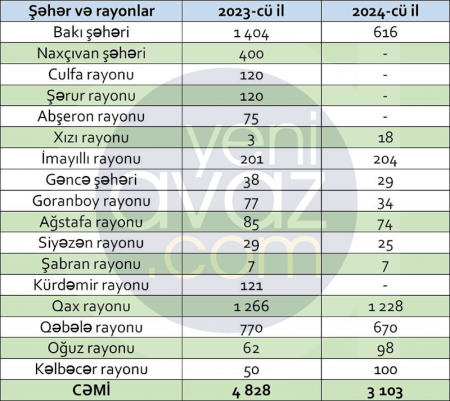 Naxçıvanda donuzların kökü kəsilib 