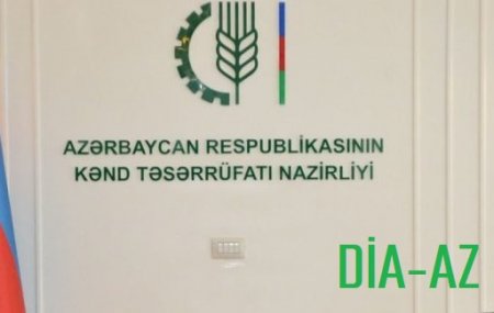 "Bir ildən artıqdır ki, bu məbləğ hesaba köçürülmür..."