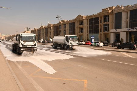 Bakıda növbəti ağacəkmə aksiyası və iməclik keçirilib