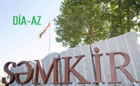 Şəmkirdə şəhid atasını incidirlər 