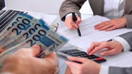 Ölkənin vergi ödəyicilərinin yarısı niyə fəaliyyətsizdir?