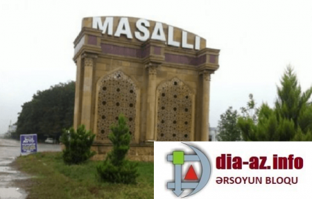 Masallının icra başçısı da TİKİNTİ XAOSUNA QOŞULDU: Ağaclar kəsildi və...