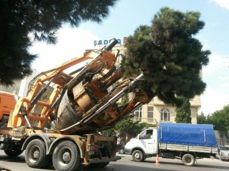 Bütün bu texnikalar Muxtar Babayevin ayağındadır... Bütün bu texnikalar Muxtar Babayevin ayağındadır...