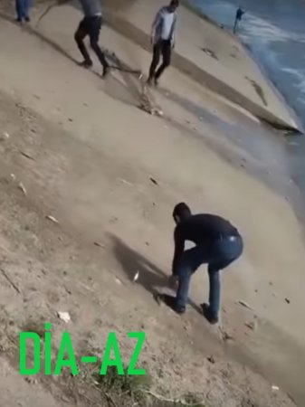 Nazirliyin çətiri altında ANA TƏBİƏTİN QARƏTİ