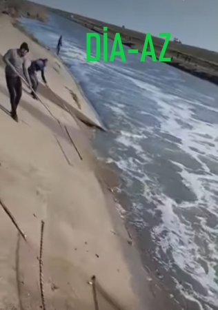 Nazirliyin çətiri altında ANA TƏBİƏTİN QARƏTİ