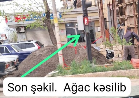 Cəlilabadda daha bir ünvanda ƏLİ BALTALILAR