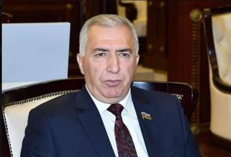Keçmiş deputat vəzifəyə seçildi