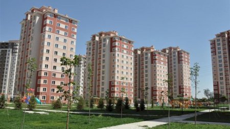 MTK-ların toruna düşməmək üçün nə etmək lazımdır?