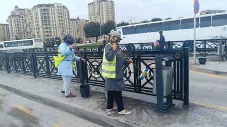 Paytaxtda növbəti dəfə geniştəmizlik işləri aparılıb