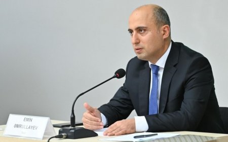 Nazir bu universitetə prorektor təyin etdi 
