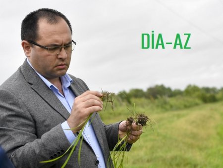 "Məcnun Məmmədov bu barədə ciddi düşünsün" 