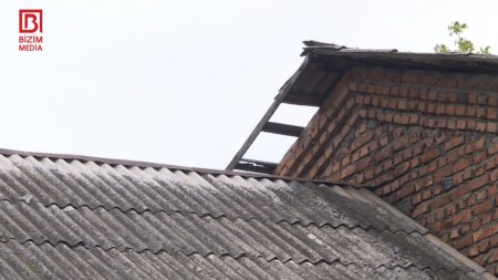 Nazirin balaları bu məktəbdə oxusa: SİNİFDƏ İLANLAR DOLAŞIR...