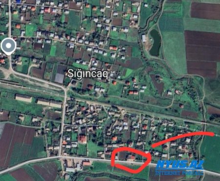 Masallıda yaşıllığa `GƏMİRİCİ`LƏR DARAŞIB...