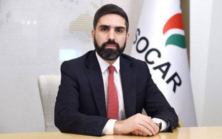 Rövşən Nəcəf idarə rəisini işdən çıxardı