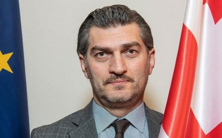 Gürcüstan və Ermənistan prezidentləri görüşüblər