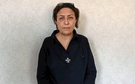 32 nəfəri aldadan Ülviyyə Balayeva cəza aldı, digər şəxs öldü 