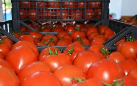 "Vasmoy" bazarında qəribə fırıldaq 
